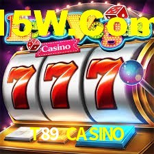 Premium Interface T89 CASINO