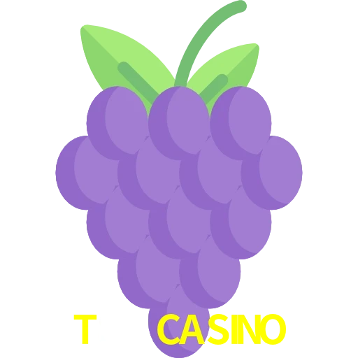 T89 CASINO